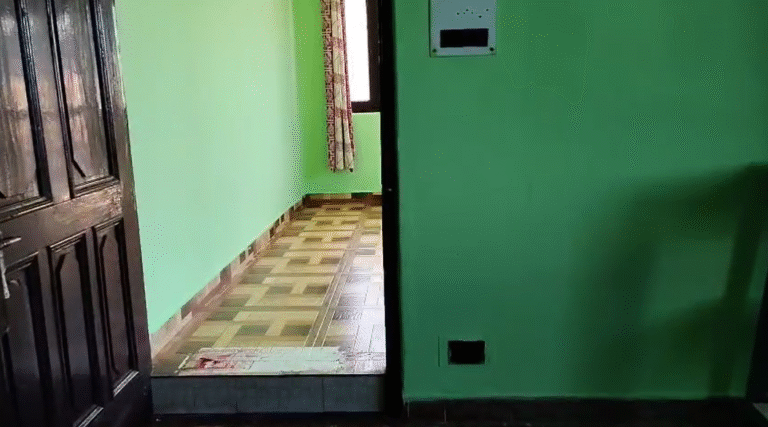 Annotation 2025 08 25 162443 1 768x427